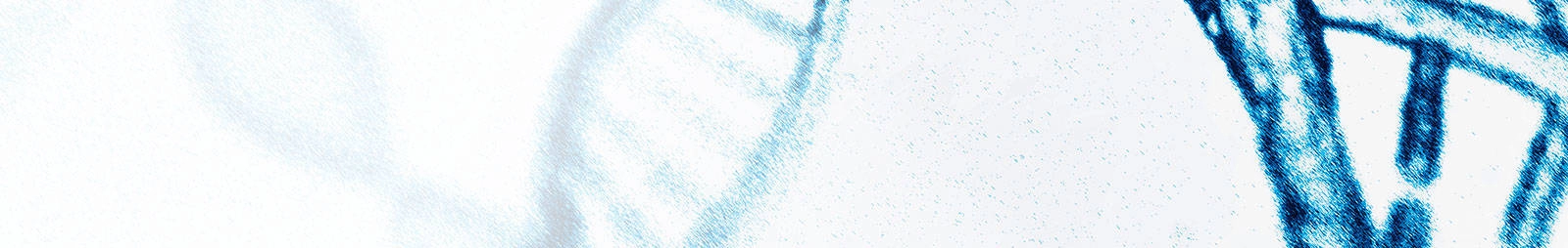 临床前体内药效分析服务