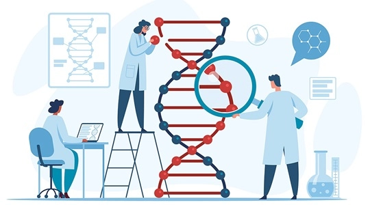 人源化小鼠：自行构建还是直接购买？