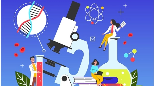 小鼠模型能够为基于Fc的治疗药物提供医学转化相关的药代动力学数据