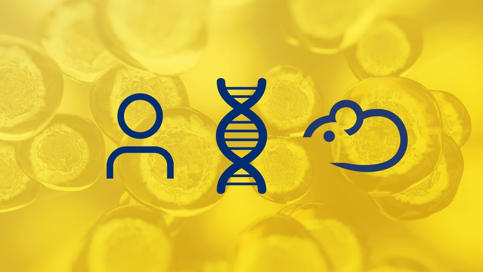 关于CD34+ 造血干细胞人源化小鼠的常见问题