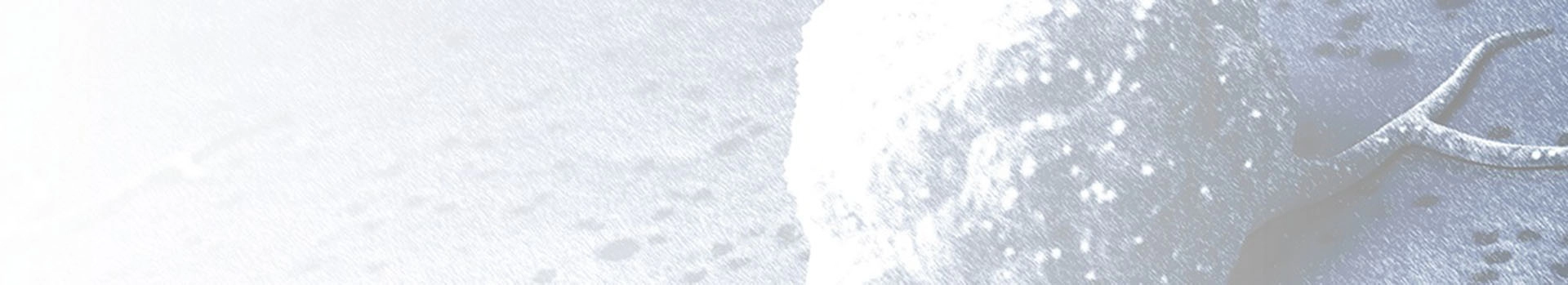 人源性异体移植 (PDX) 模型