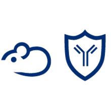 NSG&trade; 背景简介