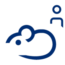 引入人 CD34+ 或 PBMC 细胞