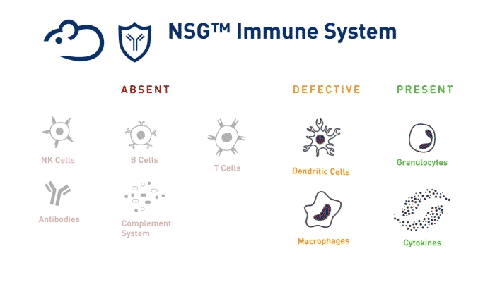 NSG&trade; 背景简介