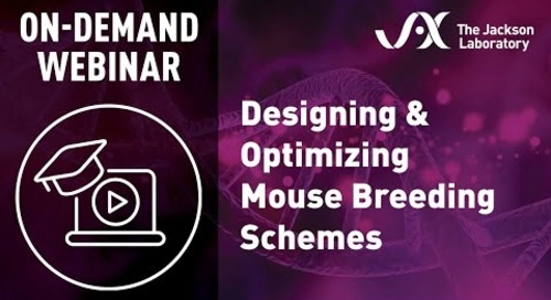 设计和优化小鼠育种方案