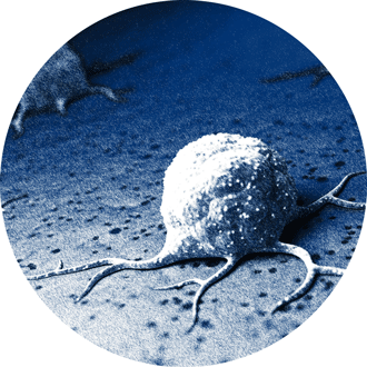 搜索我们的数据库