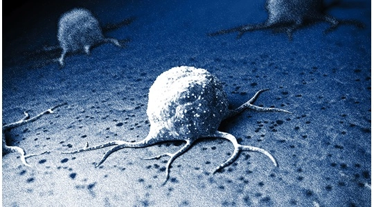 用于免疫细胞研究的Cre小鼠