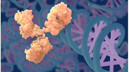 NSG&trade;-SGM3系列小鼠因何成为革命性品系？