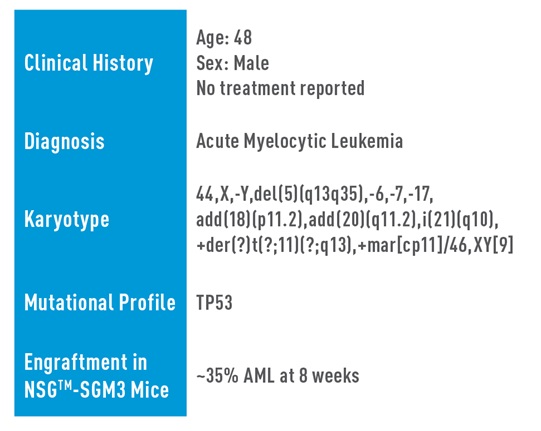 AML Studies
