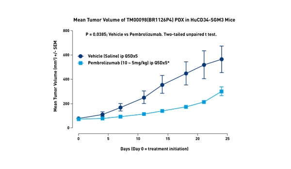 Onco-Hu&reg; 小鼠模型