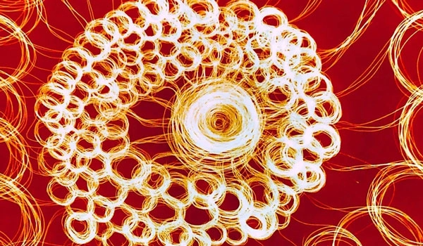 ecDNA 功能新发现推动癌症研究