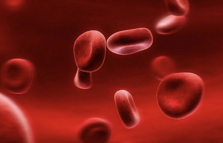 关于澄天生物（IBL）